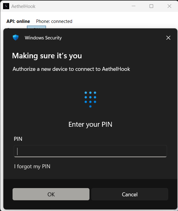 Windows Security dialog reading 'Making sure it's you, authorize a new device to connect to AethelHook' with a PIN entry field